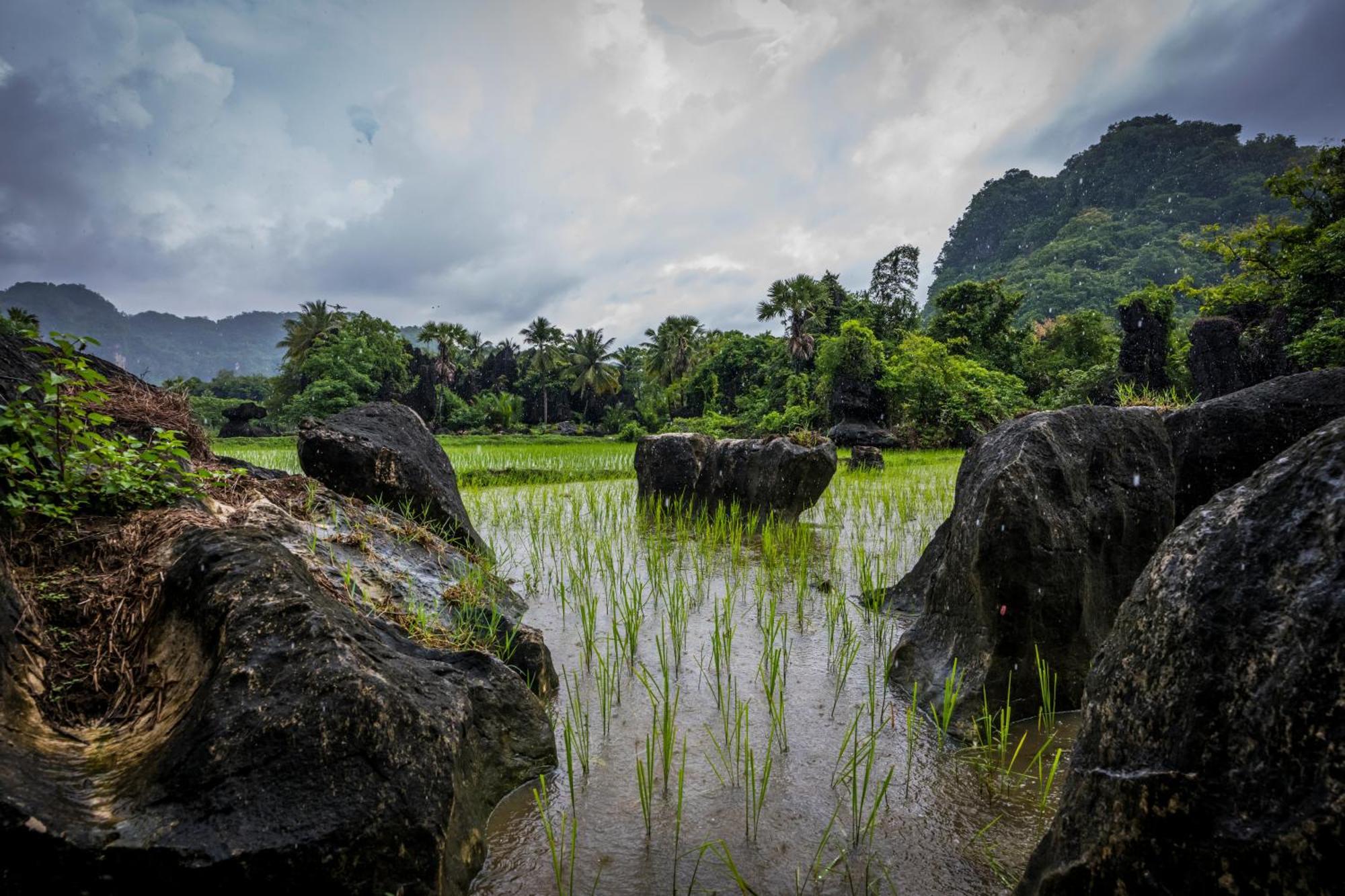 Kampoeng Karst Rammang Rammang Guest House Kasijala Exterior photo