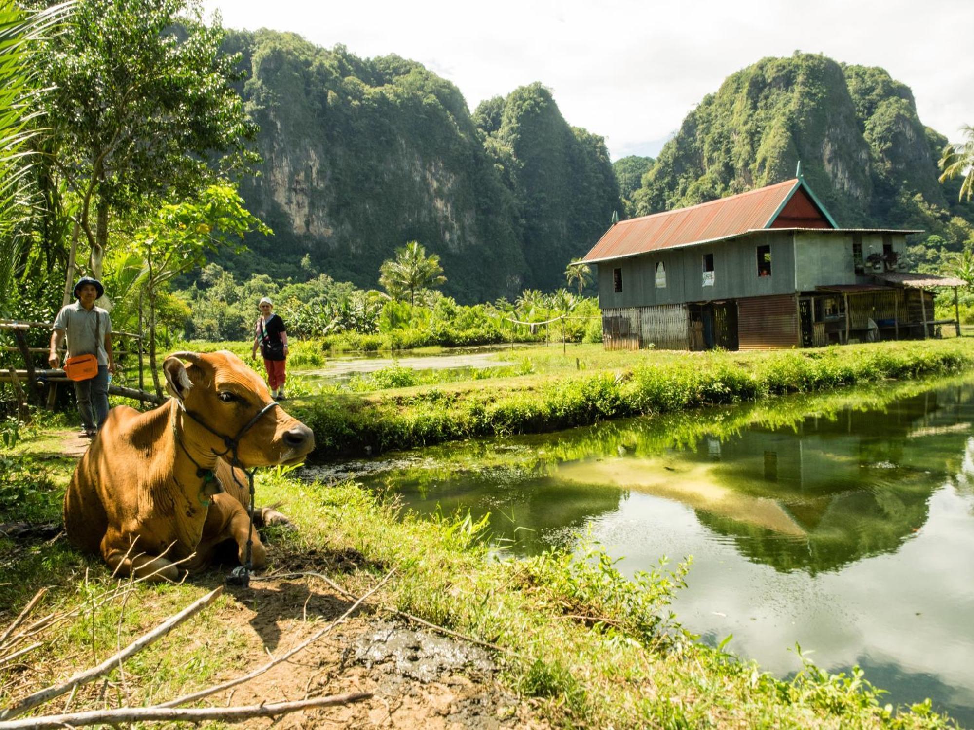 Kampoeng Karst Rammang Rammang Guest House Kasijala Exterior photo